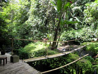 Brug over de rivier Brug over de rivier