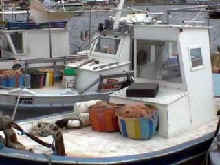 Boten in de haven