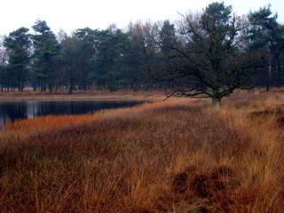 Bij Spier Bij Spier