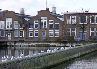 Gebouwen naast Hal4 Gebouwen naast Hal4