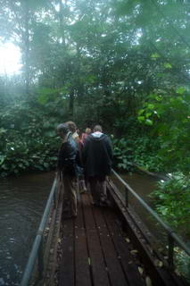 Brug in Burgers' Bush Brug in Burgers' Bush