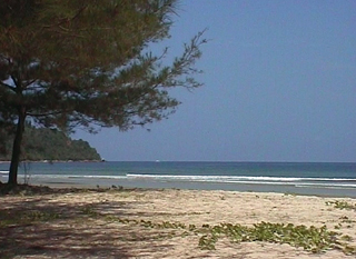Nexus Resort Nexus Resort