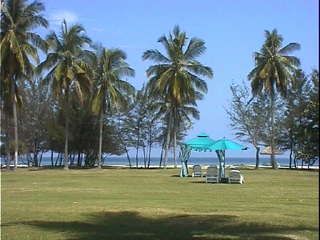 Nexus Resort Nexus Resort