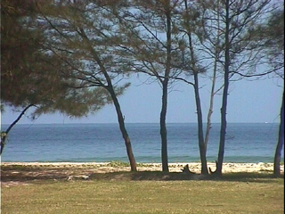 Nexus Resort Nexus Resort