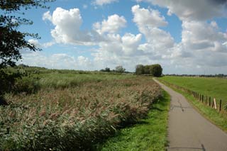 De Rhoonse Grienden De Rhoonse Grienden