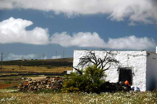 Teguise Teguise