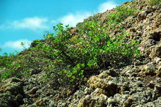 Timanfaya Timanfaya