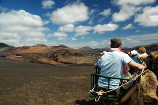 Kamelen Timanfaya