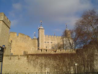The Tower The Tower