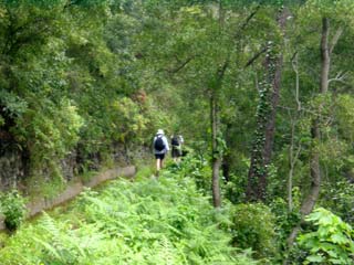 Levada Levada