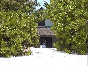 Crusoe Villa Crusoe Villa