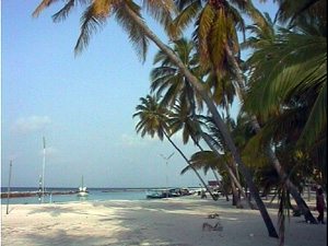 Eydafushi Eydafushi
