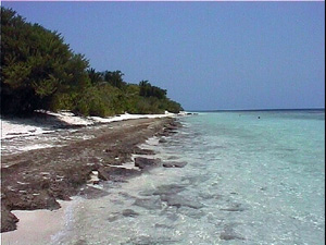 Kunfunadhoo Kunfunadhoo