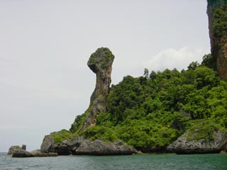 Chicken island