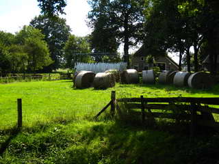 Weiland Orvelte Weiland Orvelte