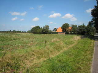 Dwingelderveld Dwingelderveld